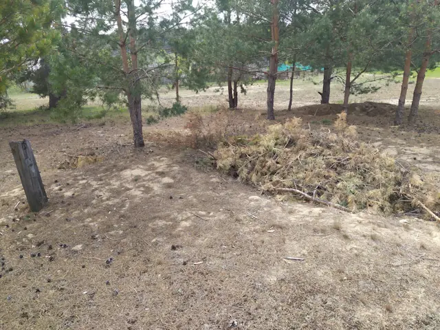 шалаш, бывший
